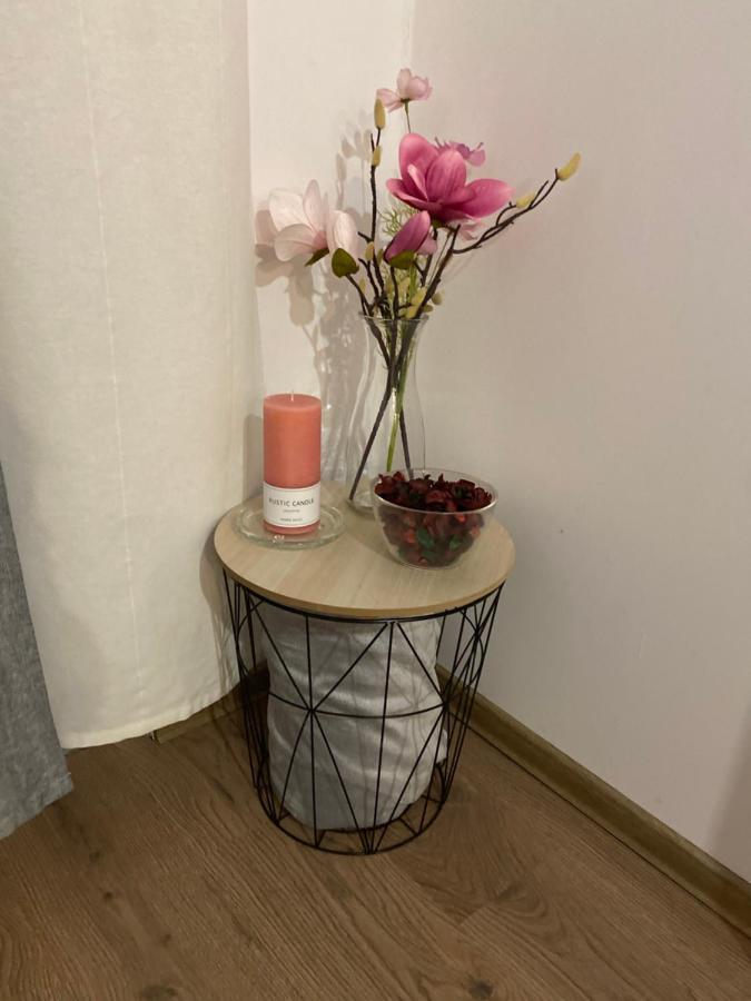 Fressh House Apartment Sincraieni Екстериор снимка